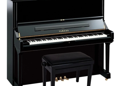 Piano BMT – Địa Chỉ Mua, Học & Trải Nghiệm Đàn Piano Uy Tín Tại Buôn Ma Thuột