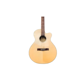 GUITAR HỒNG ĐÀO DENON D1