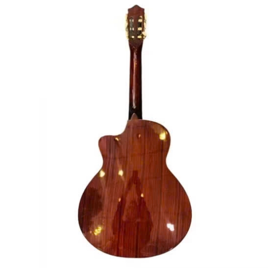 GUITAR CLASSIC RICHELIEU CHO NGƯỜI MỚI